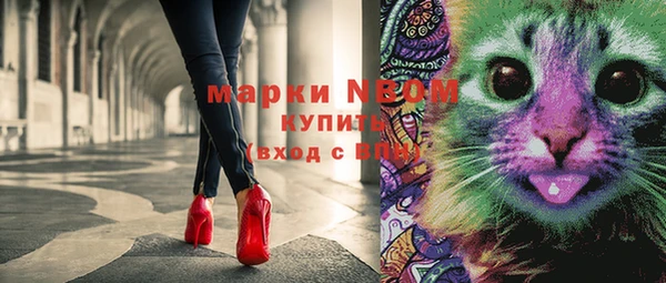 крисы Белокуриха