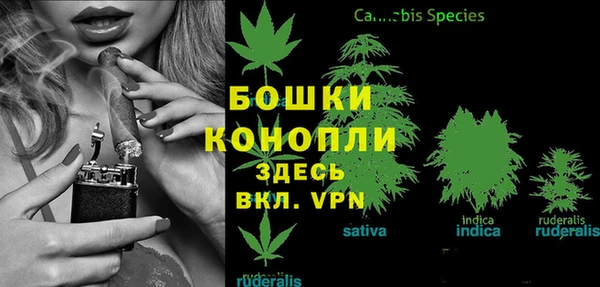 соль ск Балабаново