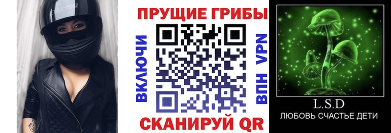 Псилоцибиновые грибы прущие грибы что такое Суворов
